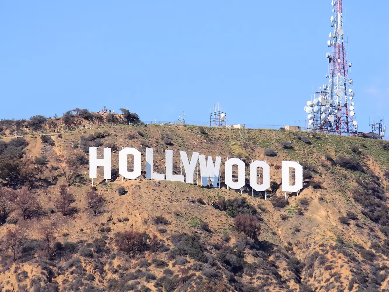 AllSafe IT Hollywood office — managed IT services and IT support